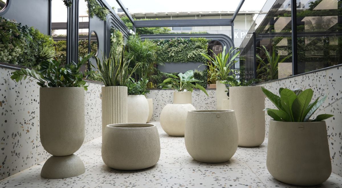 How To Elevate Your Homes With Different Planters How To Elevate Your Homes With Different Planters
