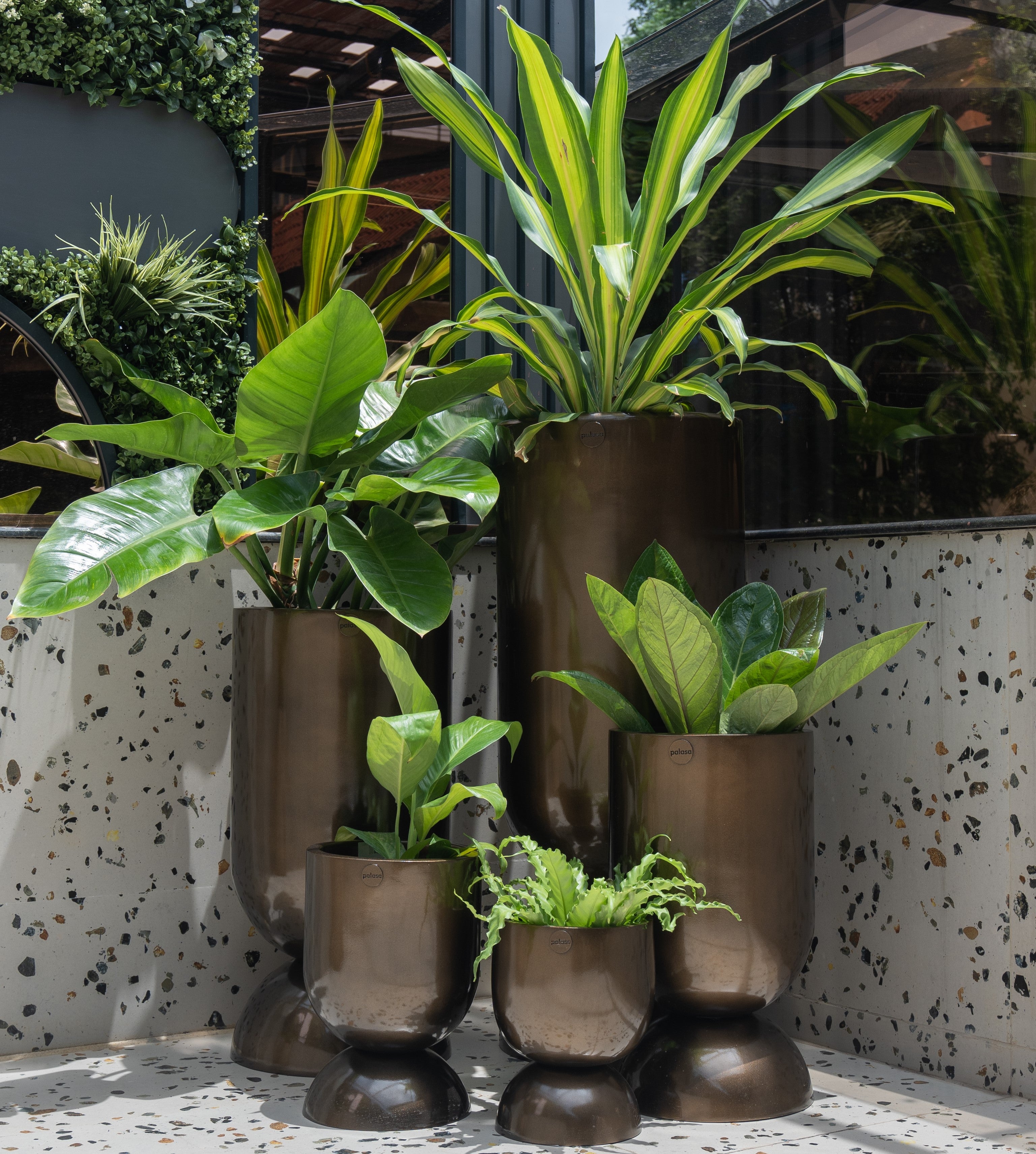 A Guide to Choosing the Right Indoor Plant for My Space