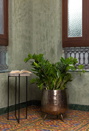 Choosing the Perfect Planter for Your Plants: A Comprehensive Online Guide-Taf silver