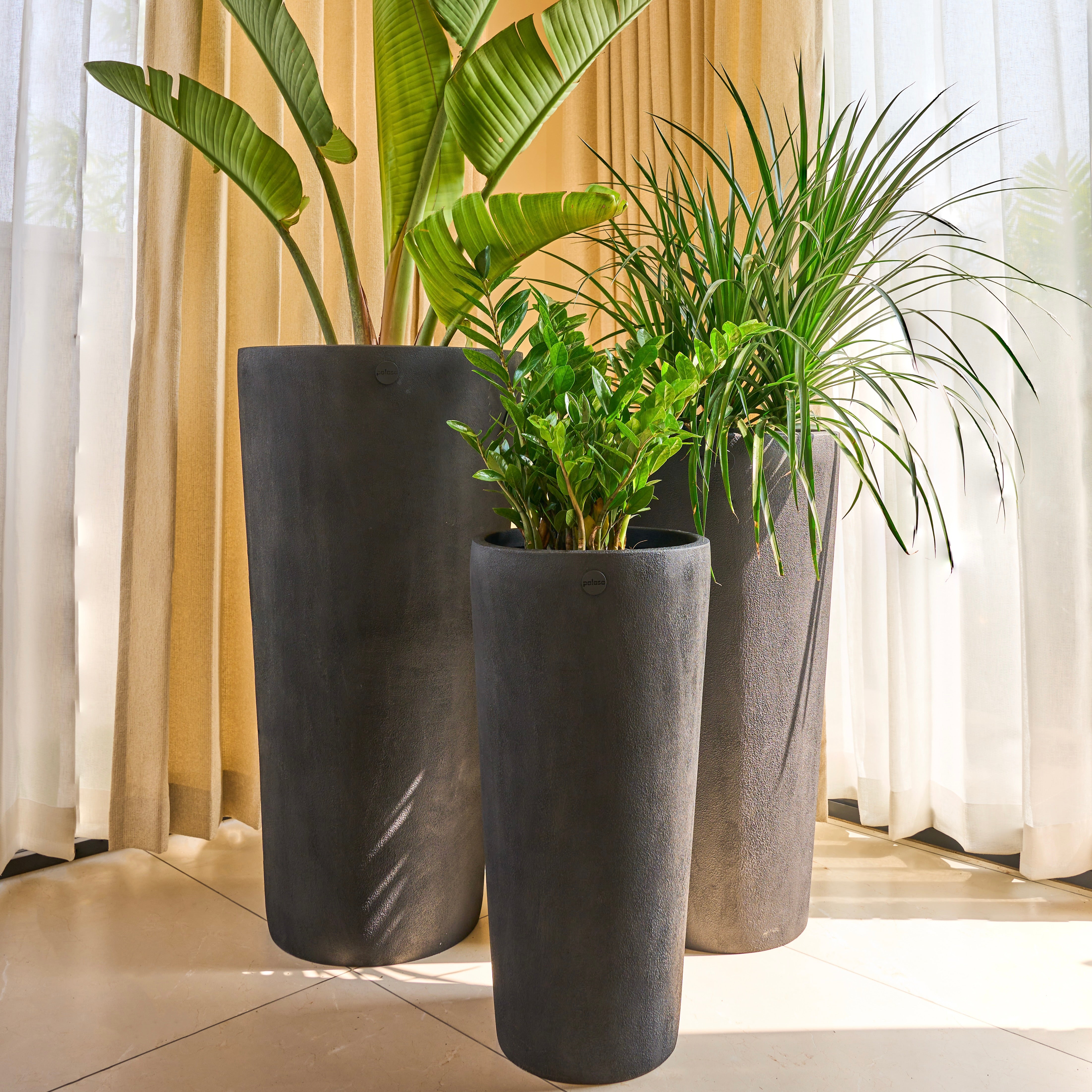Buy Premium Large Planters Collection Online India | Palasa Planters