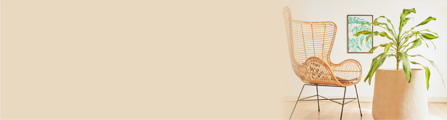 Collection Header Palasa India