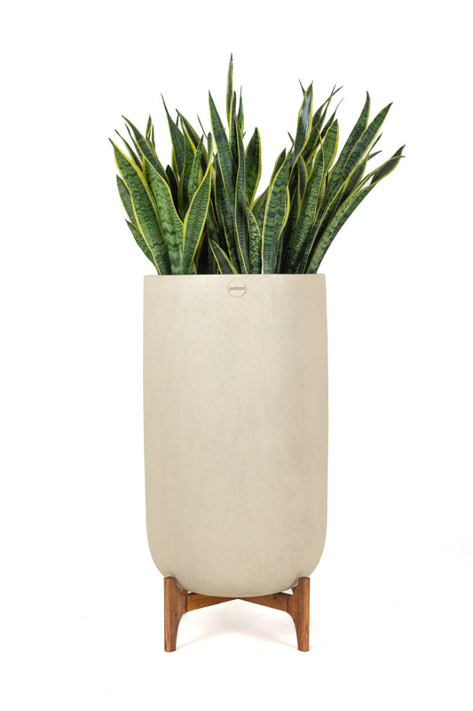 This Beige Large circular planter with wood stand is a perfect combination for any home. The snake plant works very well to this Condo Planter with w.ooden stand