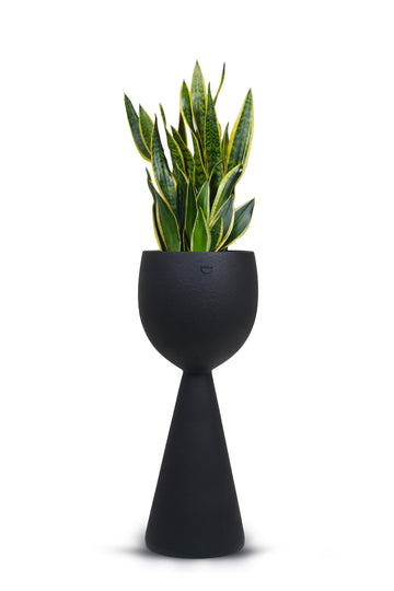 Kimi FRP Floor Planter