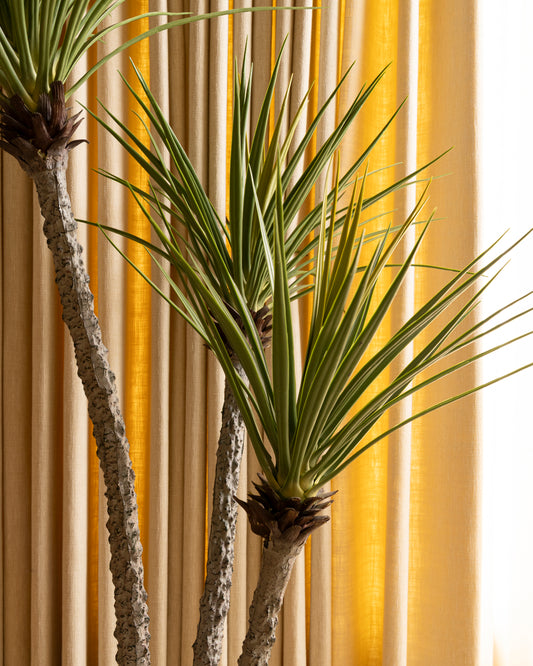 Faux Yucca Plant