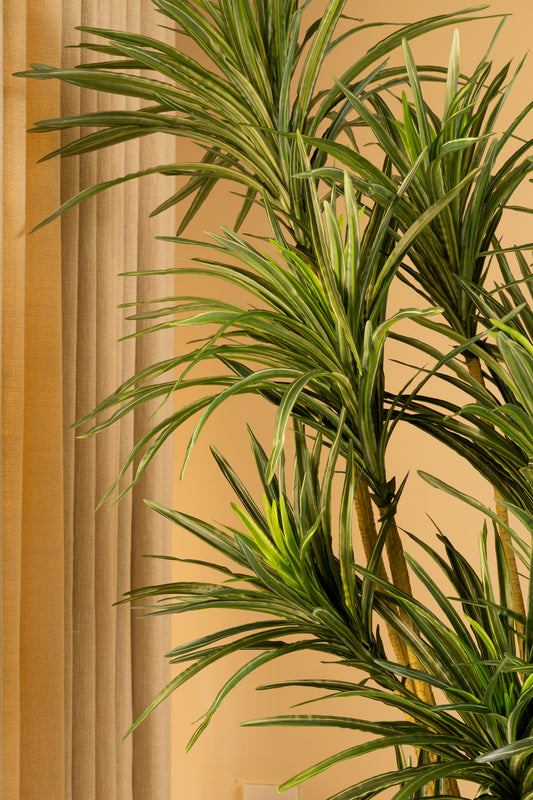 Faux Spider Palm Plant