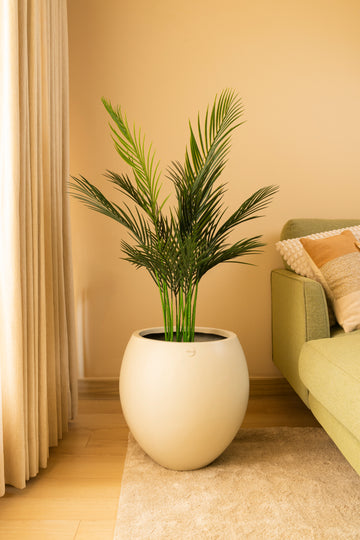 Faux Areca Palm Plant