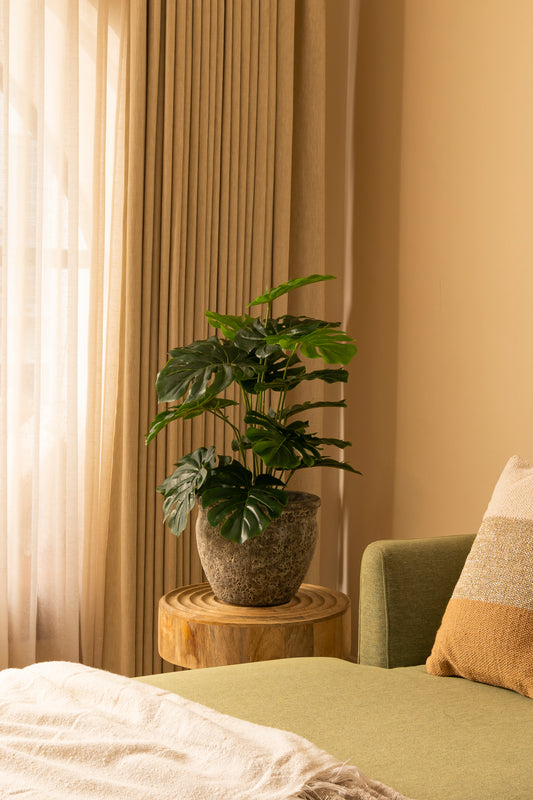 Faux Monstera Plant