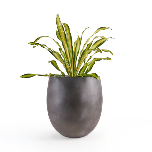 Zia Floor Planter In Dark Grey