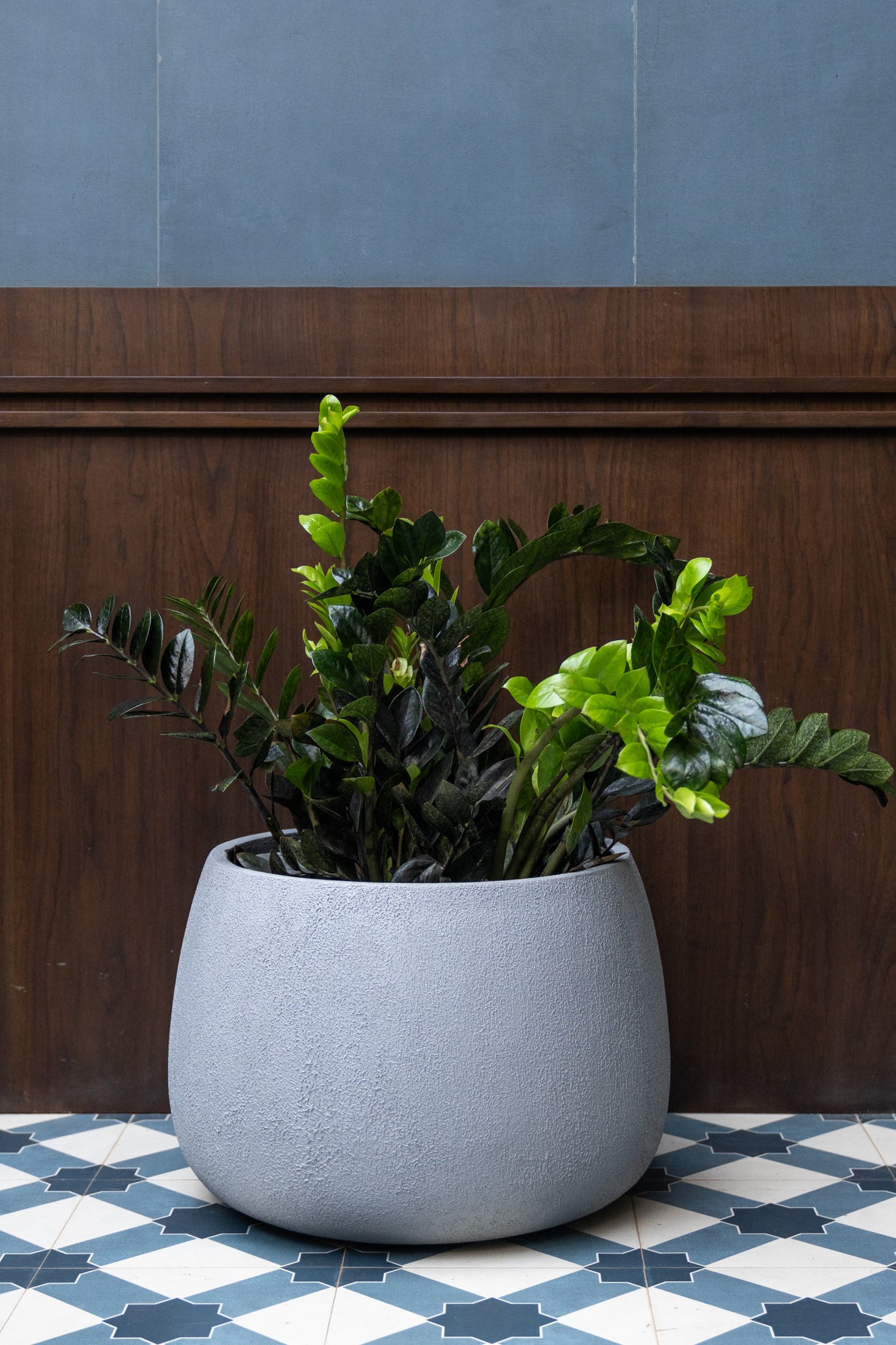 indoor plant pots online india FRP planters Bangalore online