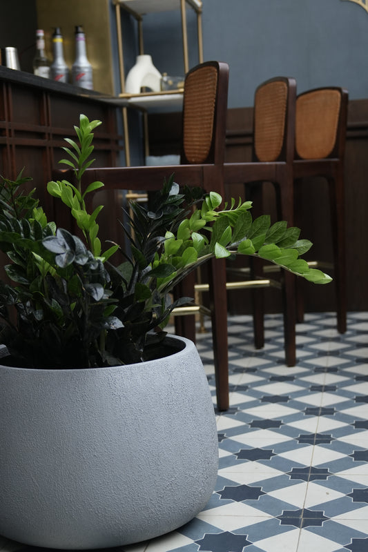 online planters india