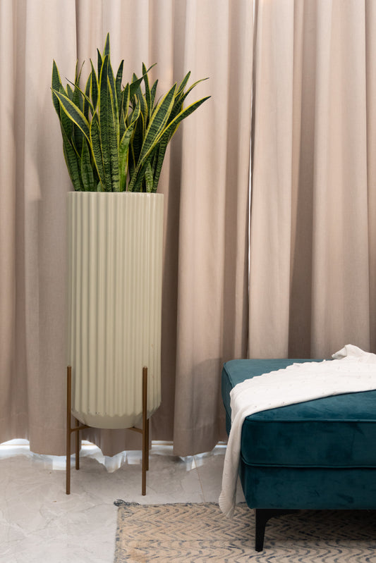 Shop for the Fluto Frp Planter online India. Decorative planters for indoor use and balcony use.