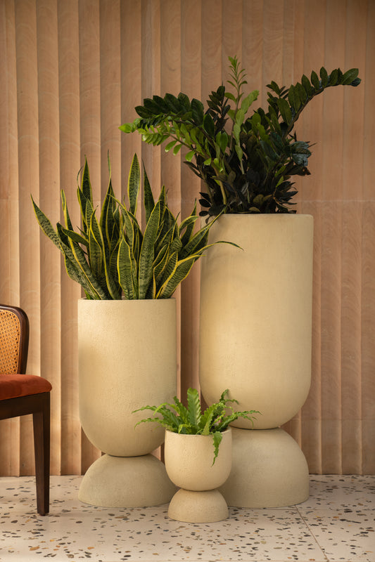 modern fiberglass planters that work well indoors and outdoors. Circular large FRP Planters that are modern and minimal  