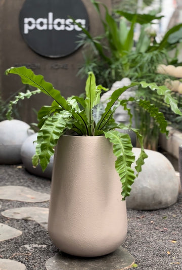 Rony FRP Planter Sandal Paste