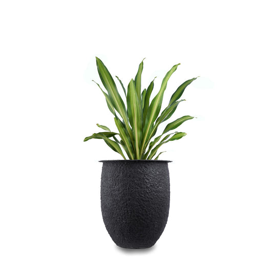Iris FRP Round Large Planter