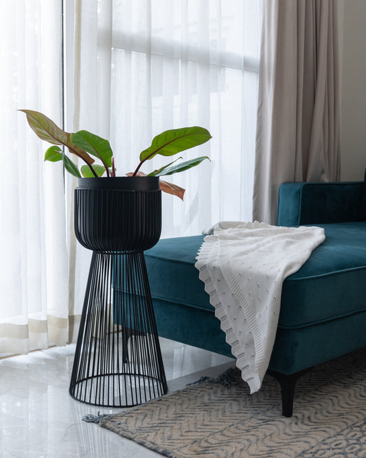 Our Jordan Metal Indoor Planter is a statement piece that adds a touch of modern elegance to any setting. The sleek, minimalist design complements both contemporary and traditional decor, making these planters a versatile choice for your home.