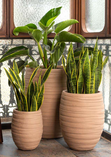 Dusty Planter Series
