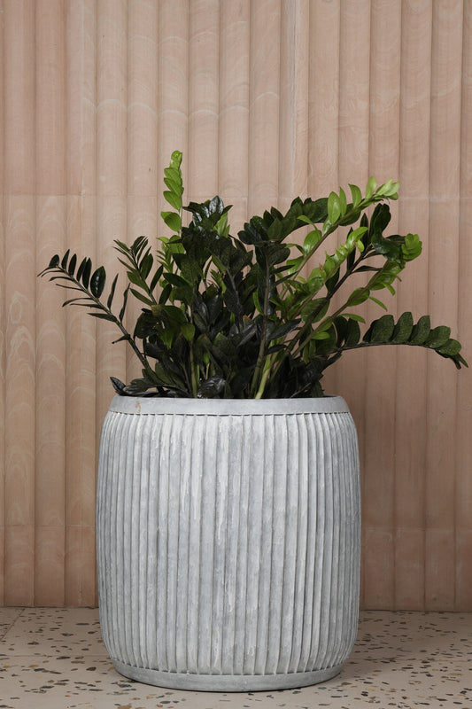 Buy Planters Online India - Safe Payment, Fast delivery, Free Shipping. Choose from a wide variety of luxury Planters to bring joy to your home. Luxury Planters on Sale.
