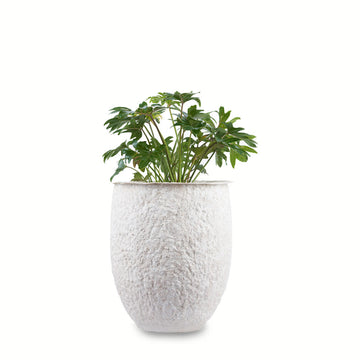 Iris FRP Planter White (Small)