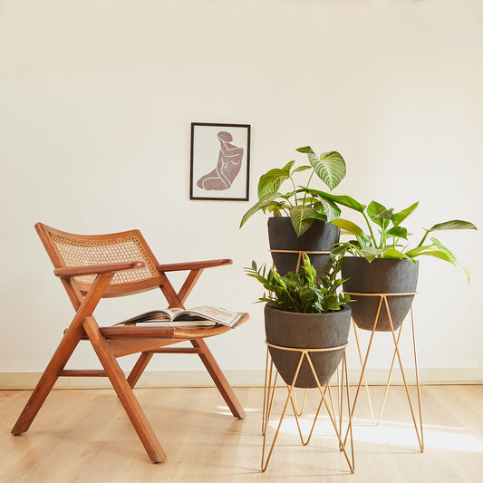 This fiberglass black planter with gold stand designed by Studio Palasa is an ideal fit for your indoor spaces like your entryway or any corner of your home or office space. Combined with the stand, the planter adds a dramatic effect onto your plants.