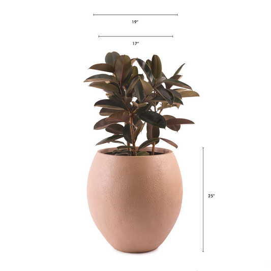Cora FRP Round Planter by Studio Palasa is the perfect indoor plant pot for anyone looking for a living room planter or balcony planter. This big planter is made from FRP and light weight and easy to maintain