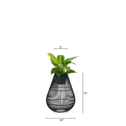 The Giza Black Metal Planter