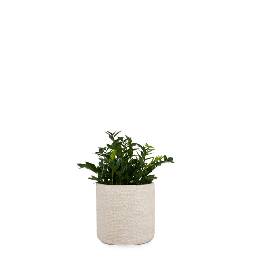 Marley FRP Floor Planter