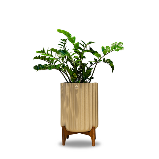 Ribbed Planter with Teak Wood Stand