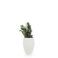Buy round circular planters in Bnagalore online. White planters that have a beatutiful texture in Matt white available online in India