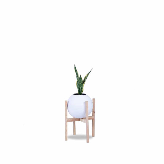 Circle of Life Planter With Wood Stands - Studio Palasa