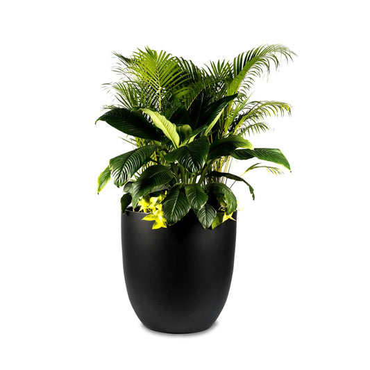 Our Circular Reservoir FRP  Planter is lightweight and strong, perfect for both indoor and outdoor use. Its sleek edges will surely make a statement in commercial or residential spaces!