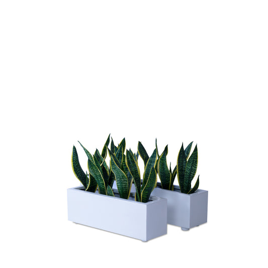 This Sland FRP Rectangular Planter Pot is perfect for any garden. Its sleek modern design and lightweight material make it great for herbs, kitchen garden, balcony garden, or even indoors. The rectangular design is perfect smaller spaces.