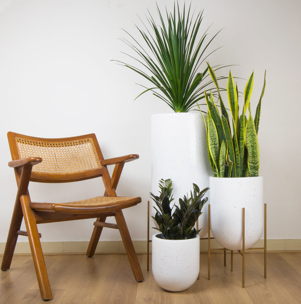 plant pot stand india Buy Online Ammo Planter Pot in India
