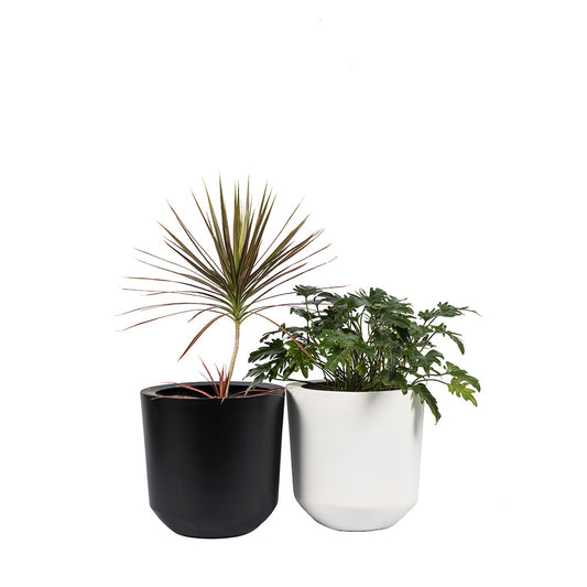 The Milkyway FRP Circular Planter has a modern design and neutral hue. Crafted by hand this premium FRP indoor and outdoor planter works well in blending indoor and outdoor spaces.