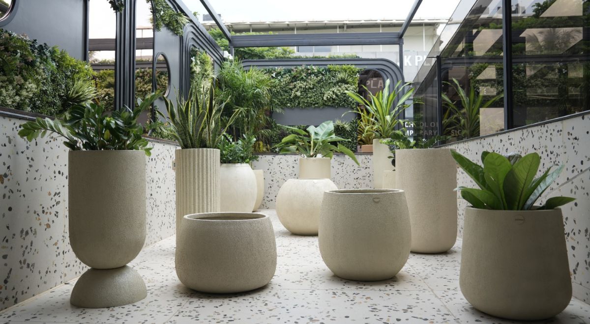 How to Elevate Your Homes with Different Planters