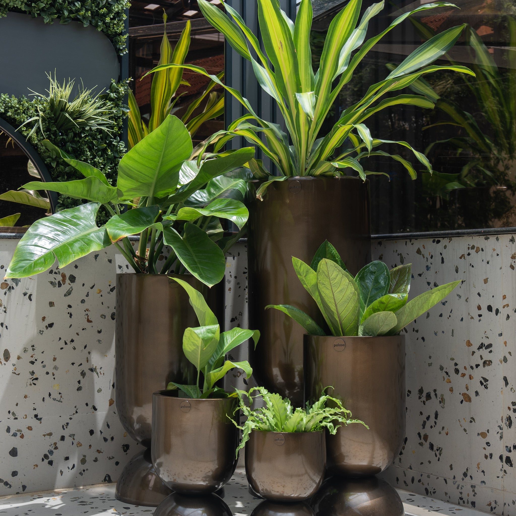 A Guide to Choosing the Right Indoor Plant for My Space - Hourglass brass