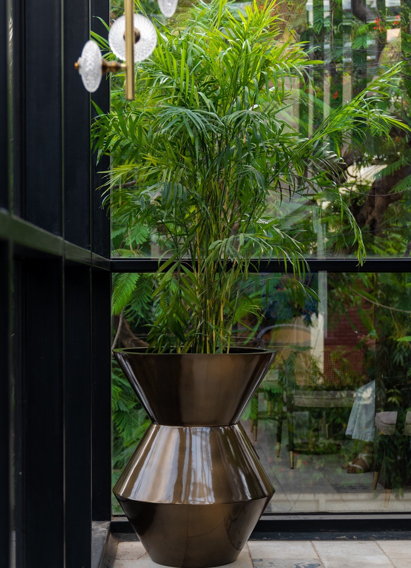 Here’s Everything You Need to Know About the Bamboo Palm
