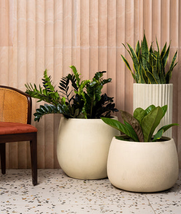 Why Fiberglass Planters are the Preferred Choice for Homes