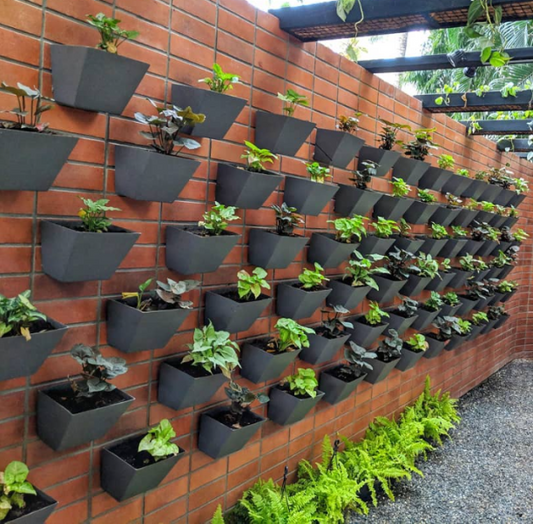 How to Build Your Own Vertical Garden at Home: Ideas, Benefits, and So ...