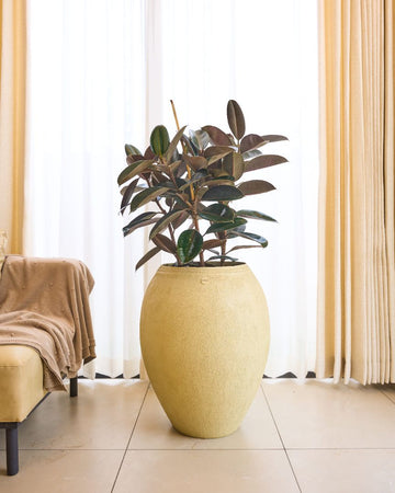 Palasa's Best Selling Planters