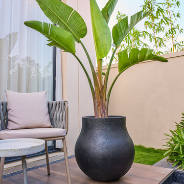 Outdoor Planters