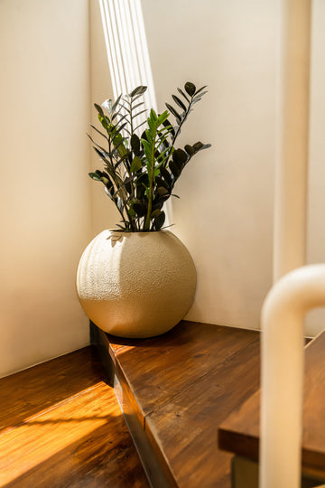 Decor Accents
