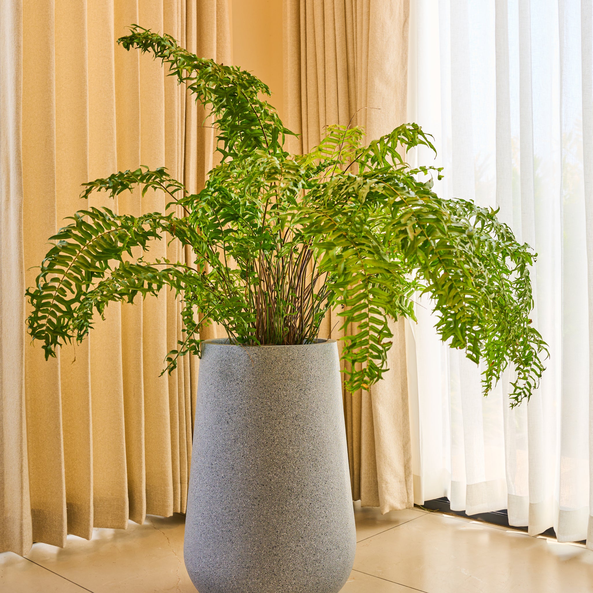 Rony FRP Planter