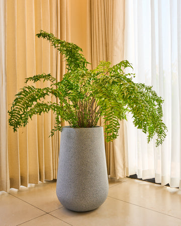 Rony FRP Planter