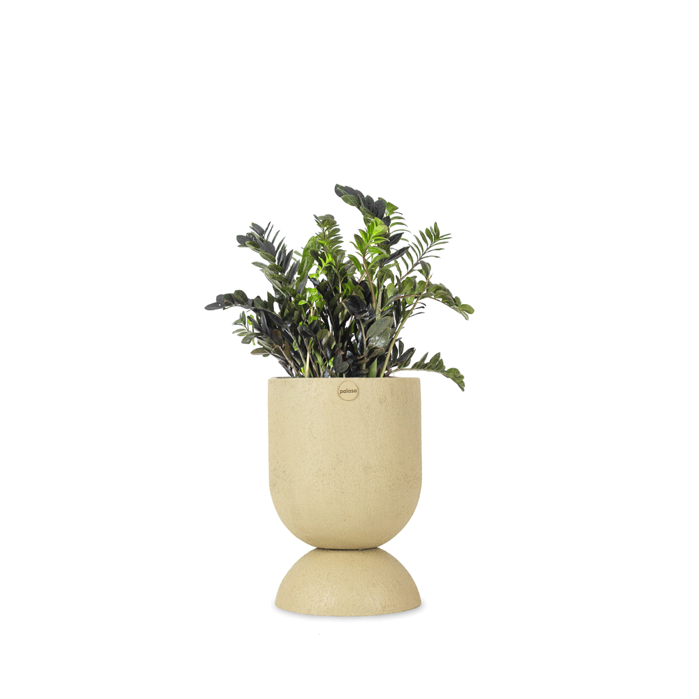 modern fiberglass planters that work well indoors and outdoors. Circular large FRP Planters that are modern and minimal