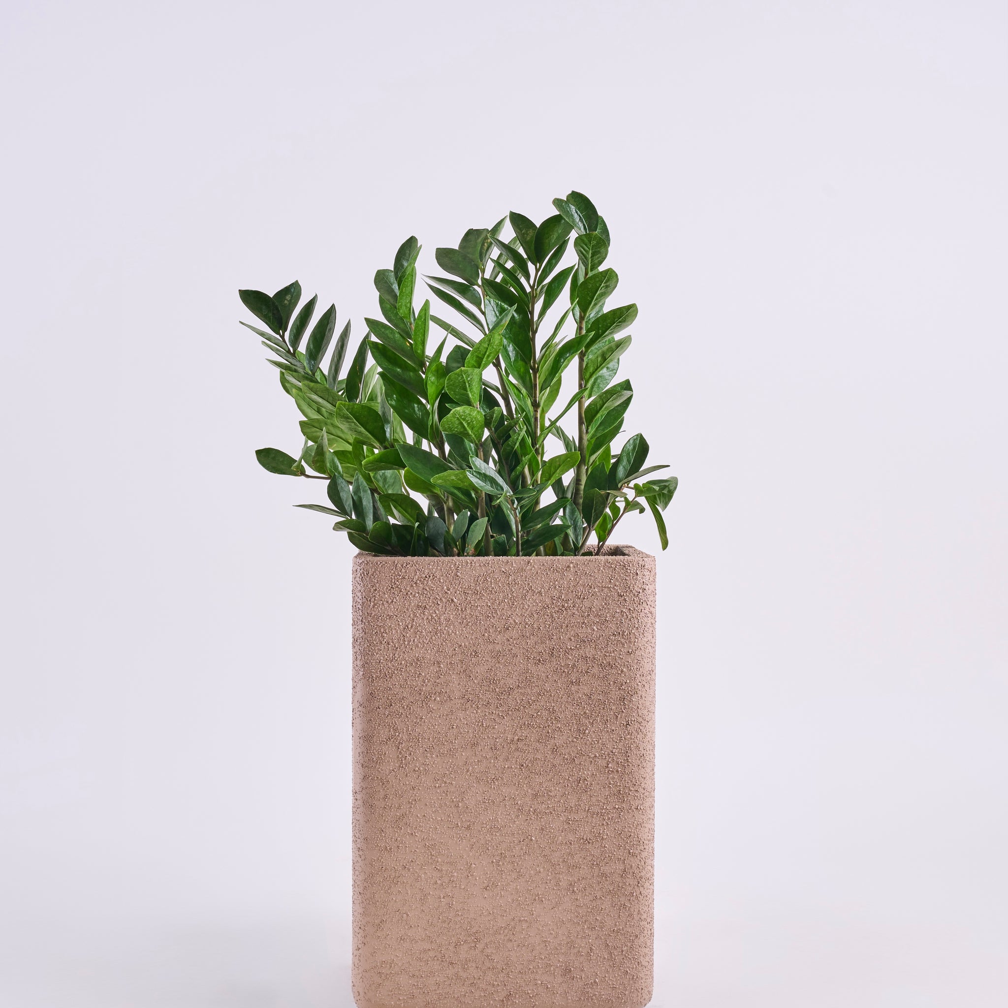 oblong plant pot Oblong FRP Rectangular Planter Pot