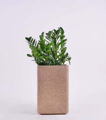 Oblong FRP Rectangular Planter Pot