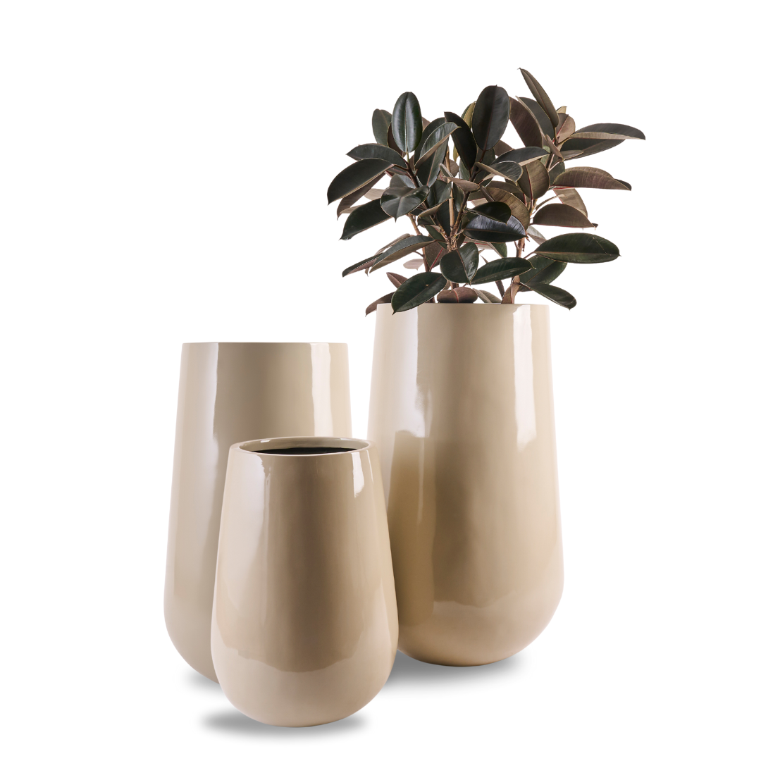 The Beige Rony FRP large planter flower pot by Studio Palasa is an ideal fit for classic and contemporary residences, balcony's and gardens. This beige large round indoor planter pot has been designed to be tall and sleek with a glossy finish, making it the perfect addition to your indoor homes.