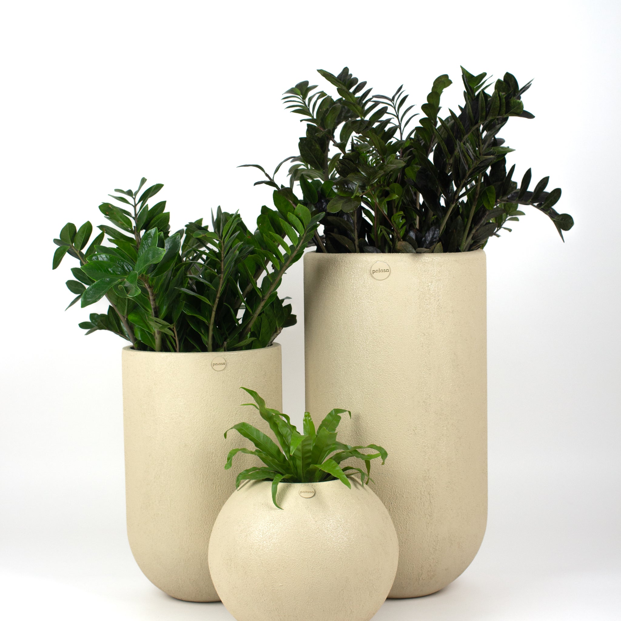 FRP Ammo and Cosmos Planter Combo