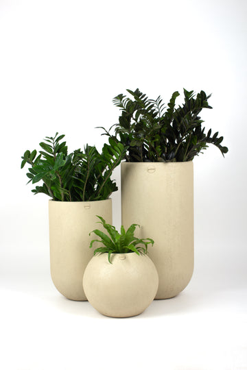 FRP Ammo and Cosmos Planter Combo