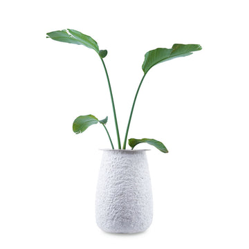 Shop for white FRP planters with a unique rustic texture. 